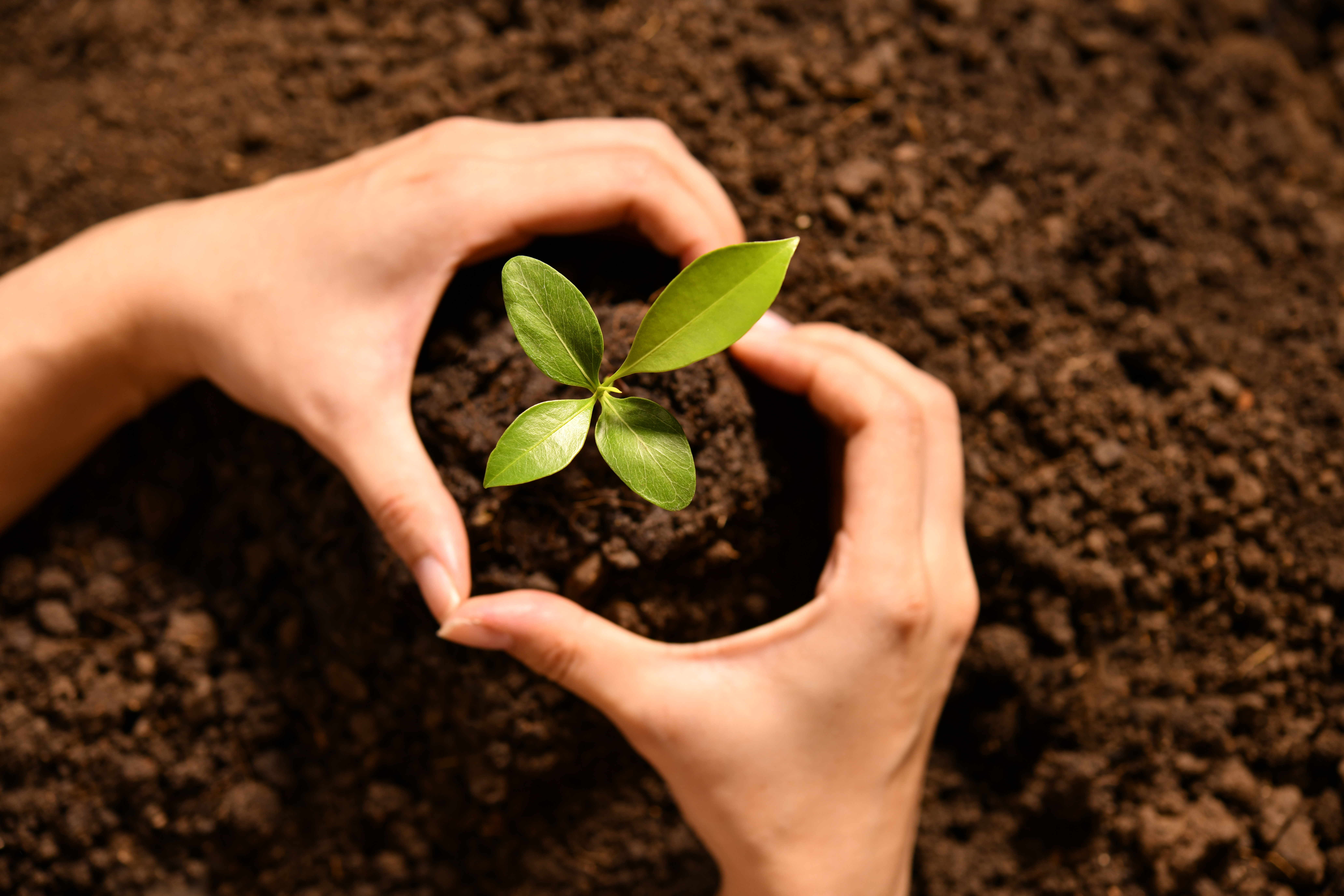The Power of Metal Drum Packaging: Sustainability and Strength